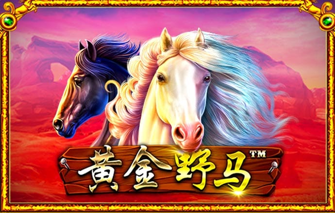 新澳门内部正版资料大全